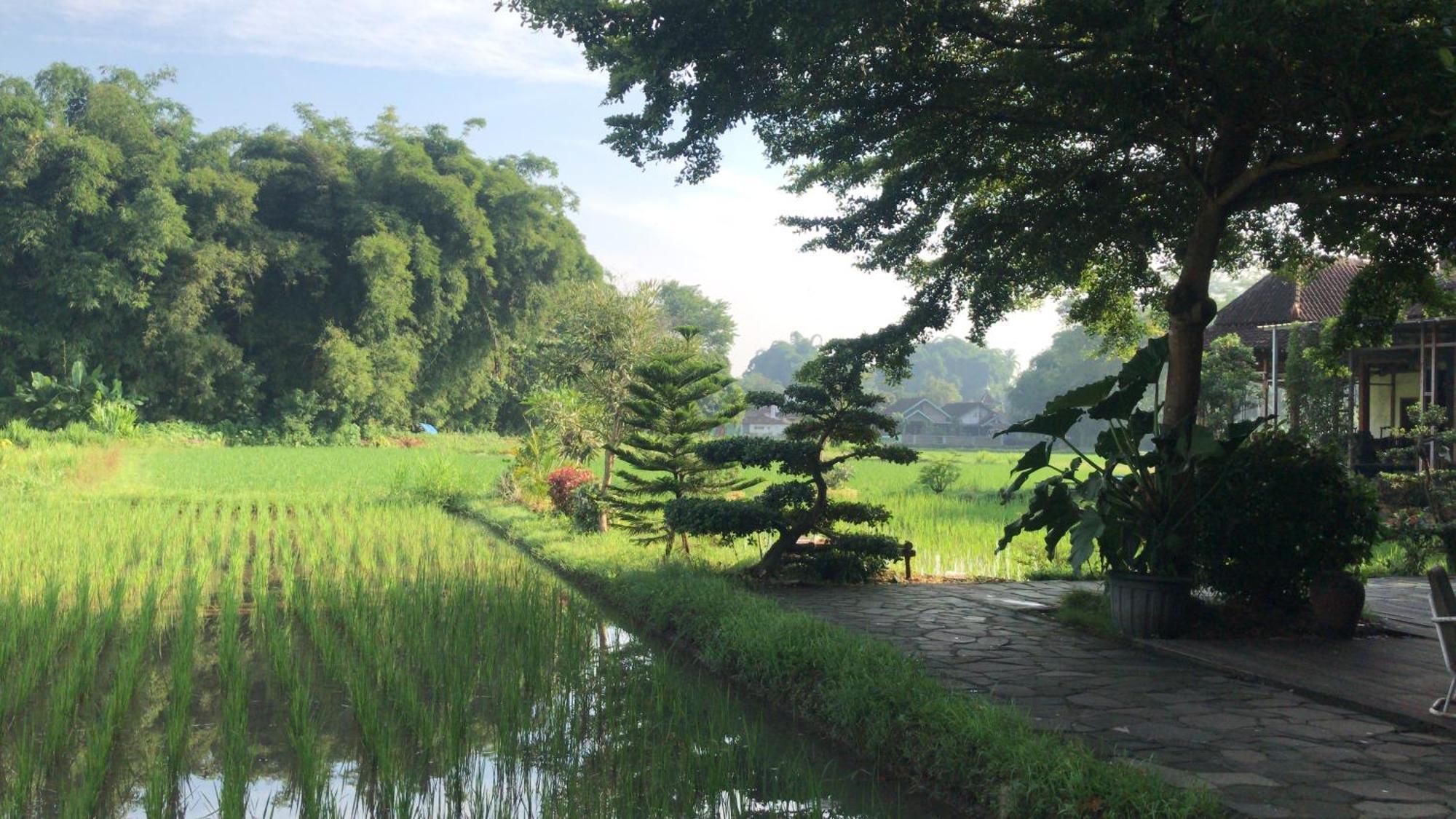 Lotus 2 Guest House Magelang Kültér fotó