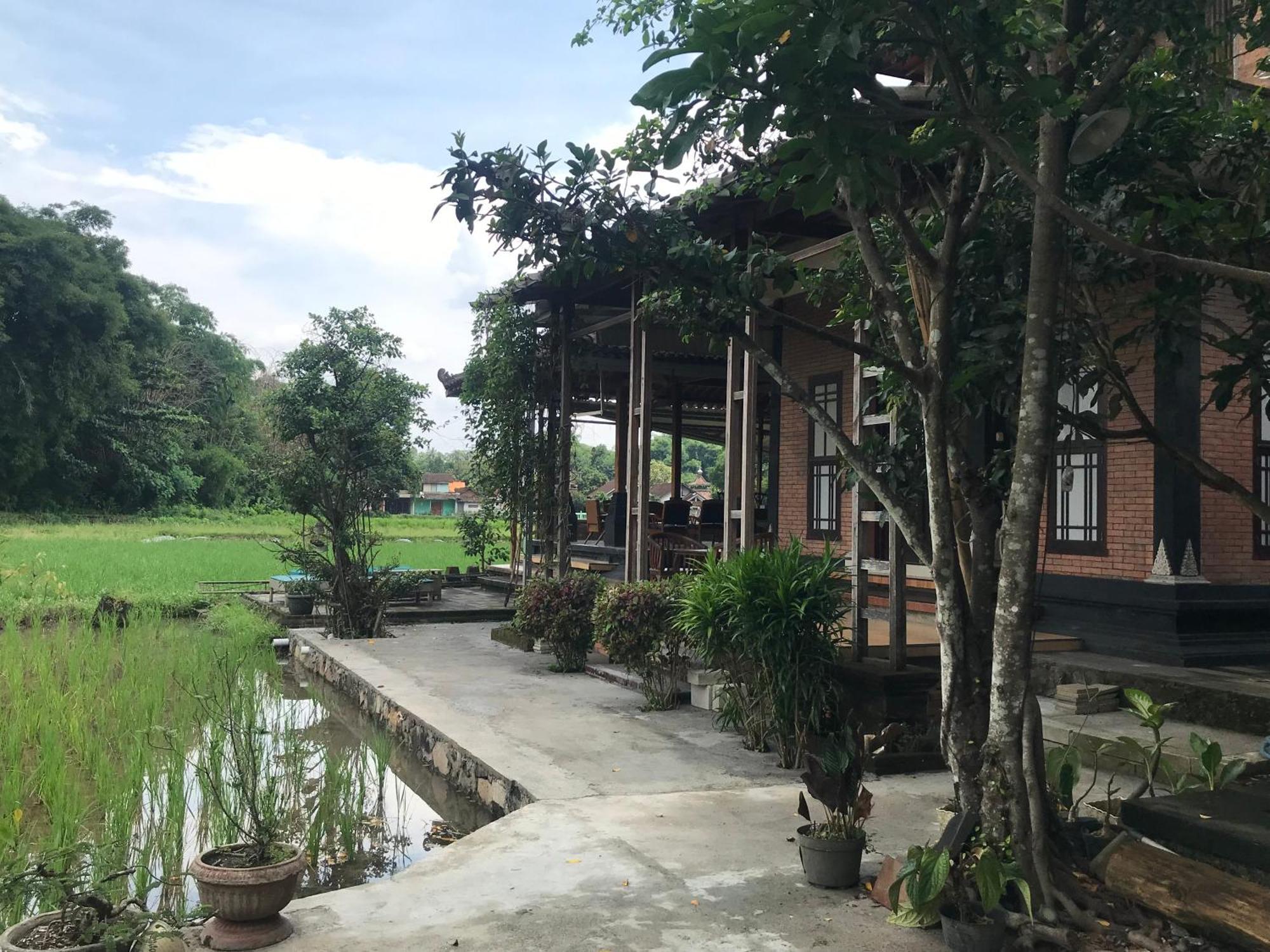 Lotus 2 Guest House Magelang Kültér fotó